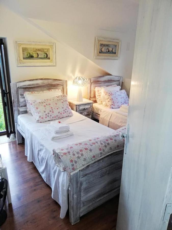Quinta Do Cavaleiro Ao Sol - Um Lugar Ao Sol ξενώνας Catraia de Sao Paio Εξωτερικό φωτογραφία