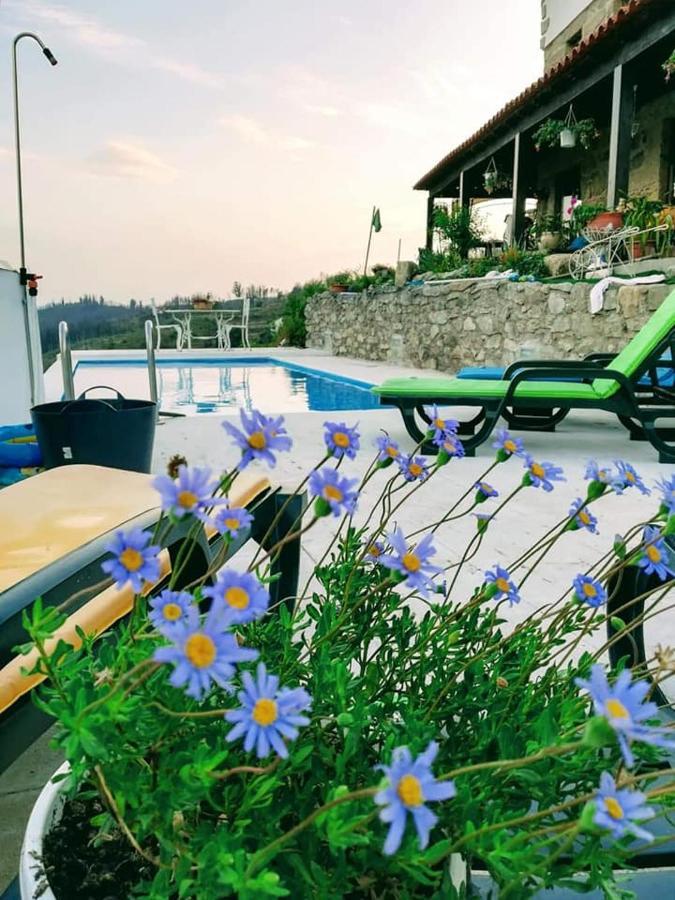 Quinta Do Cavaleiro Ao Sol - Um Lugar Ao Sol ξενώνας Catraia de Sao Paio Εξωτερικό φωτογραφία